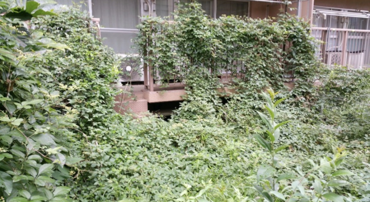 防草シート施工の作業前